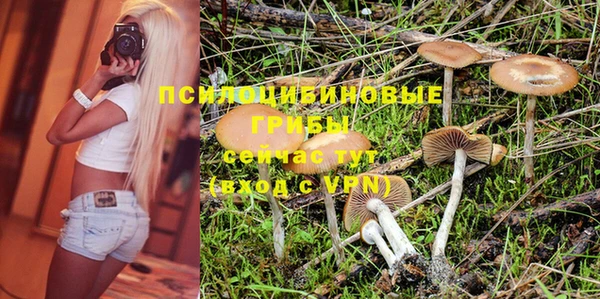 прущие грибы Арсеньев
