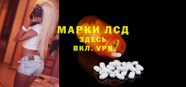 прущие грибы Арсеньев