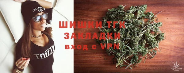 прущие грибы Арсеньев