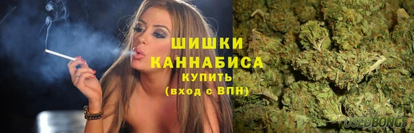 ECSTASY Армянск