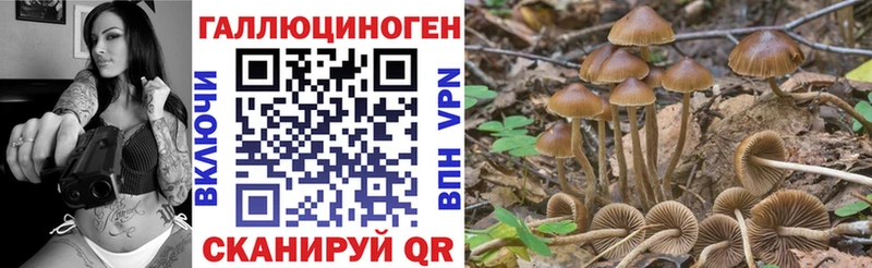 Галлюциногенные грибы Psilocybine cubensis Таруса